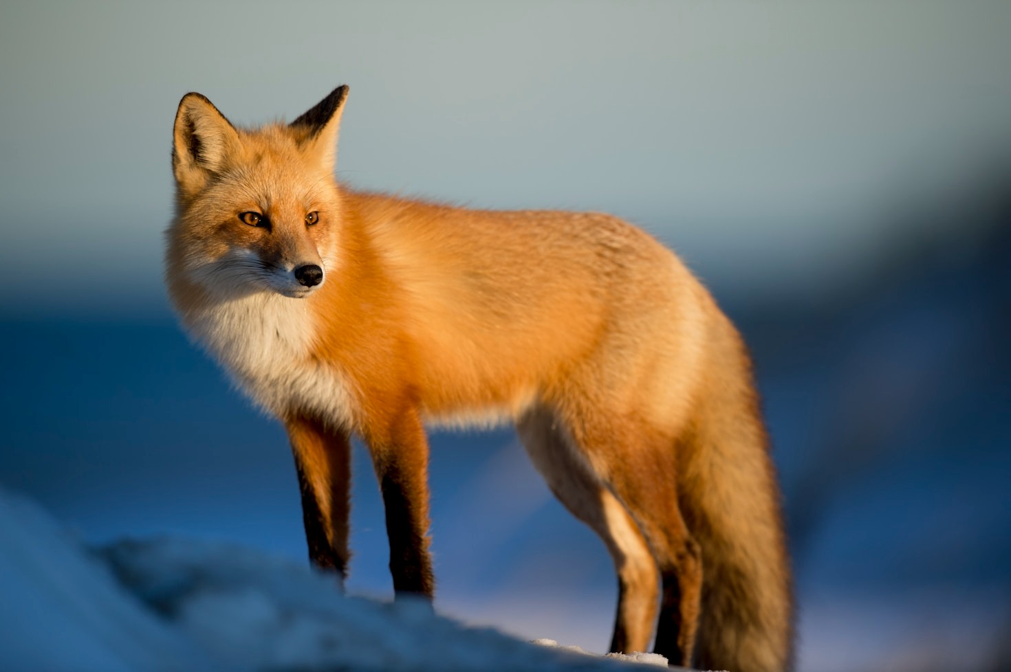 The Best Gear For Nature Photography